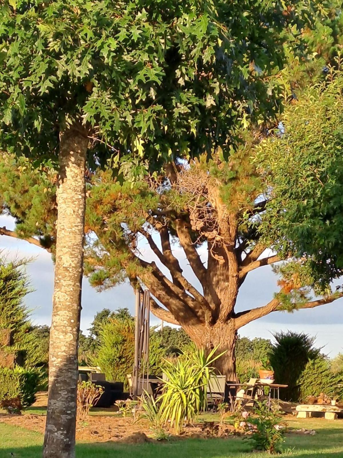 Holiday home En Campagne Lamegritniere *